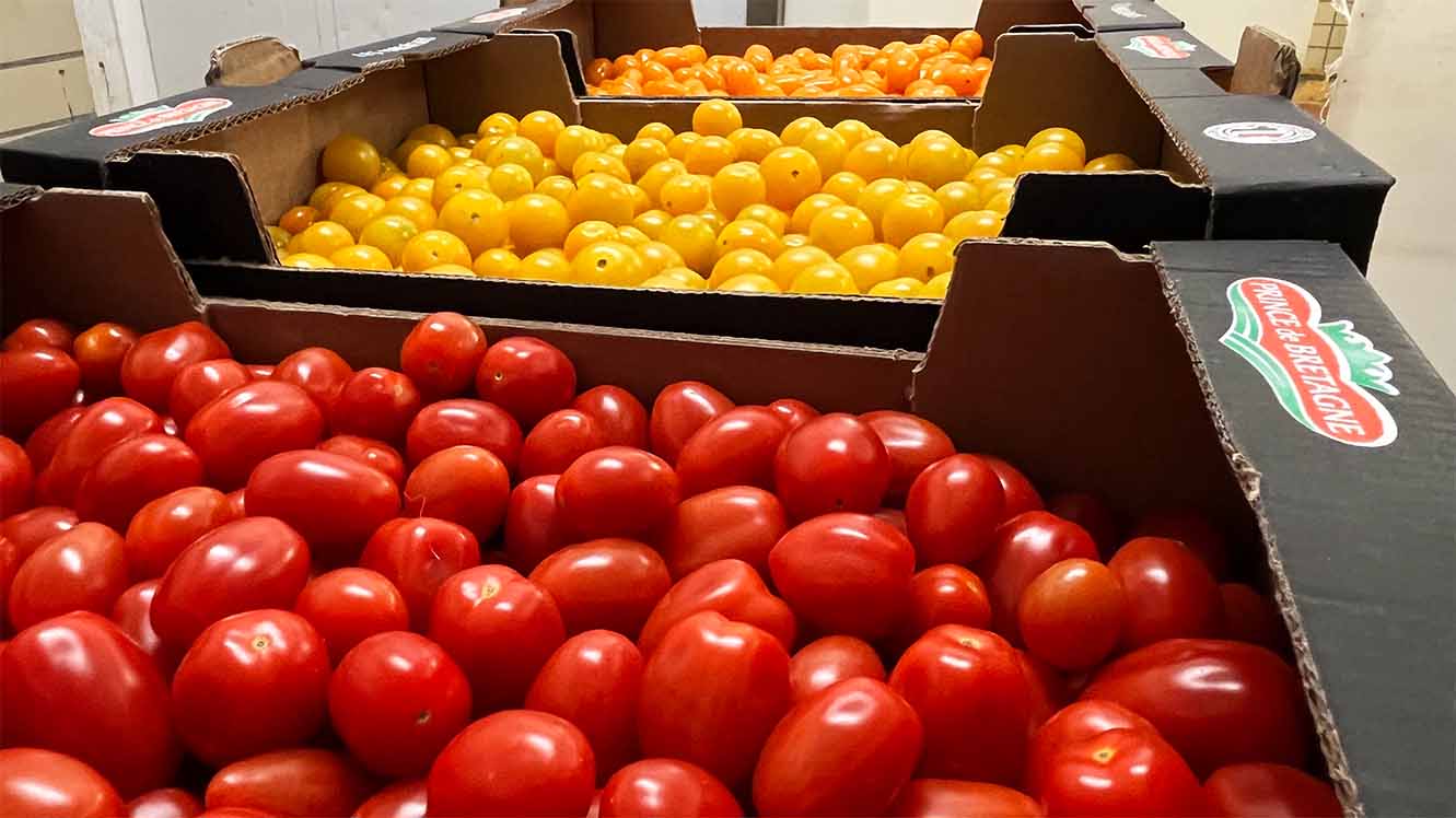 stockage-tomates-cageot-plerin